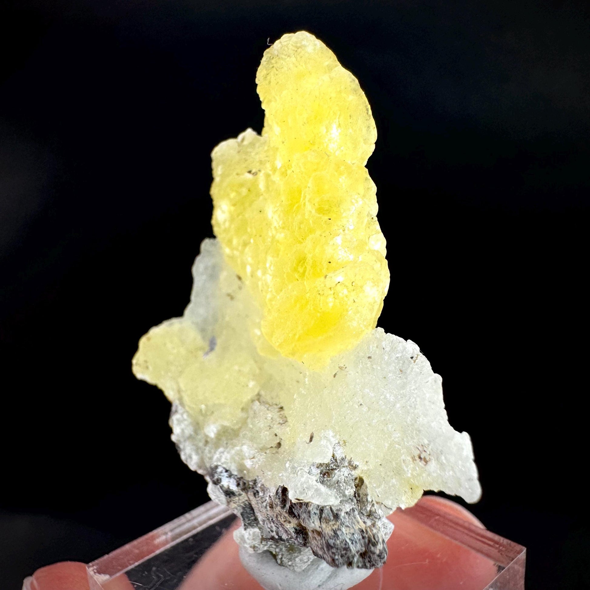 Brucite | Yellow Crystal, Lustrous Mineral Specimen From Pakistan