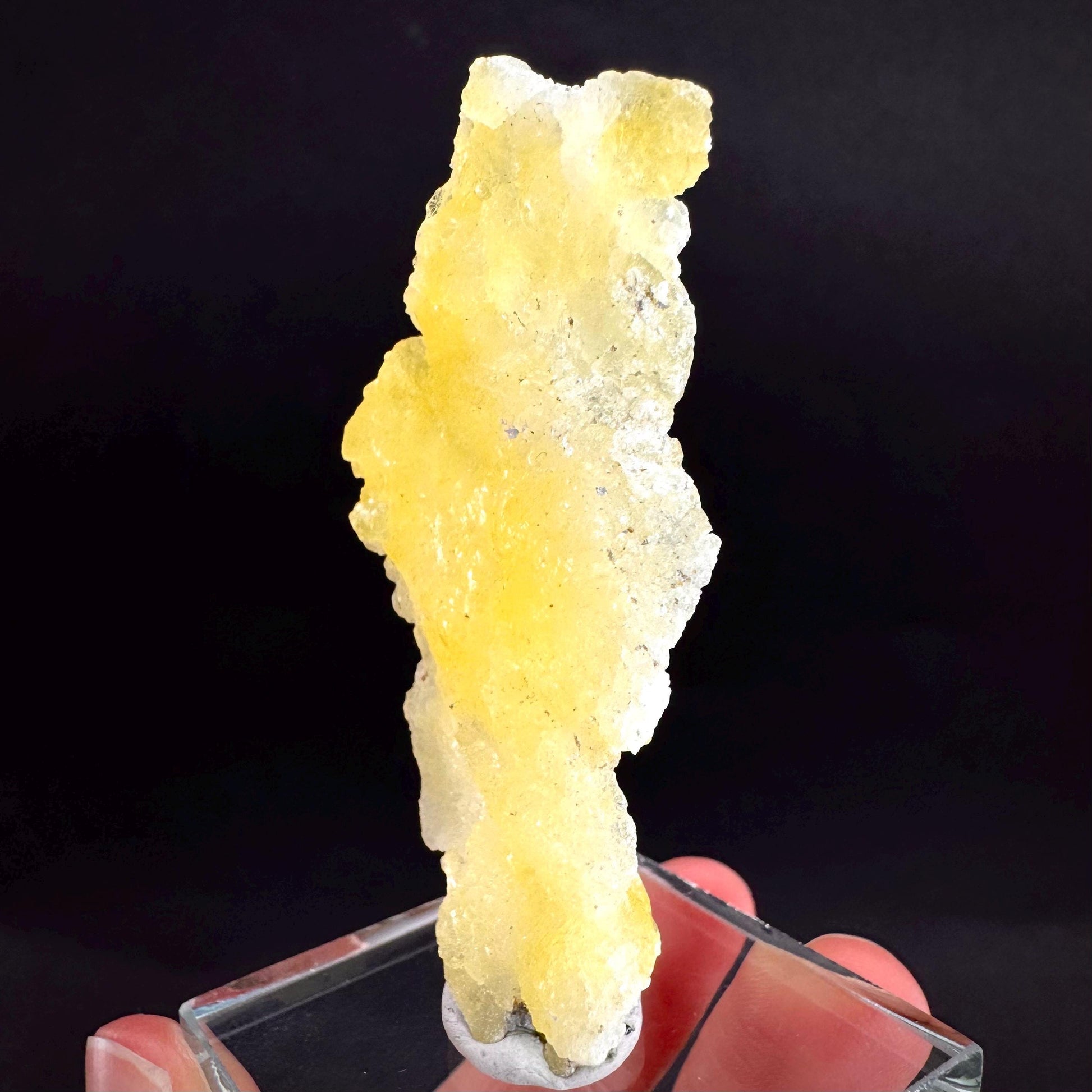 Brucite | Yellow Crystal, Lustrous Mineral Specimen From Pakistan