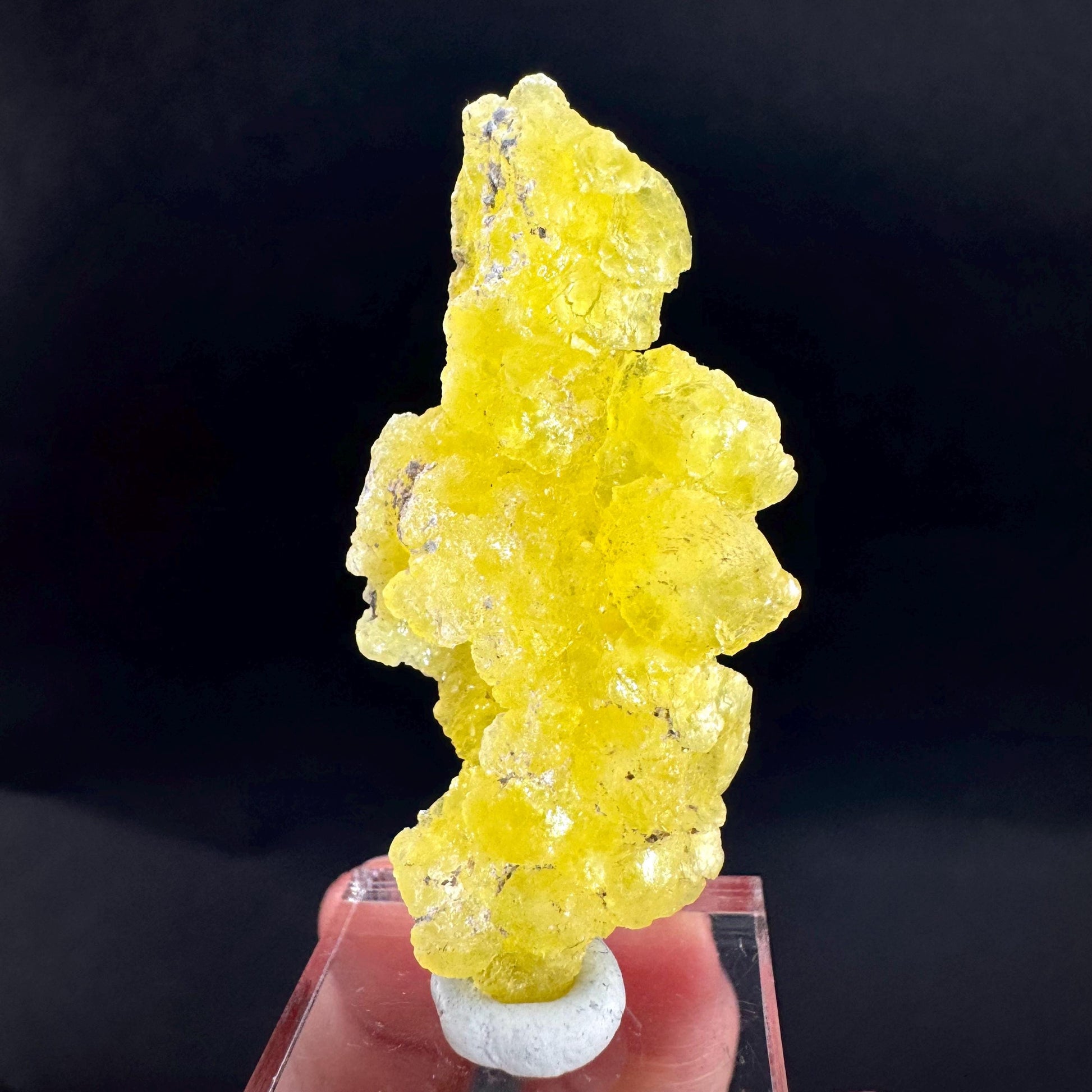 Brucite | Yellow Crystal, Lustrous Mineral Specimen From Pakistan