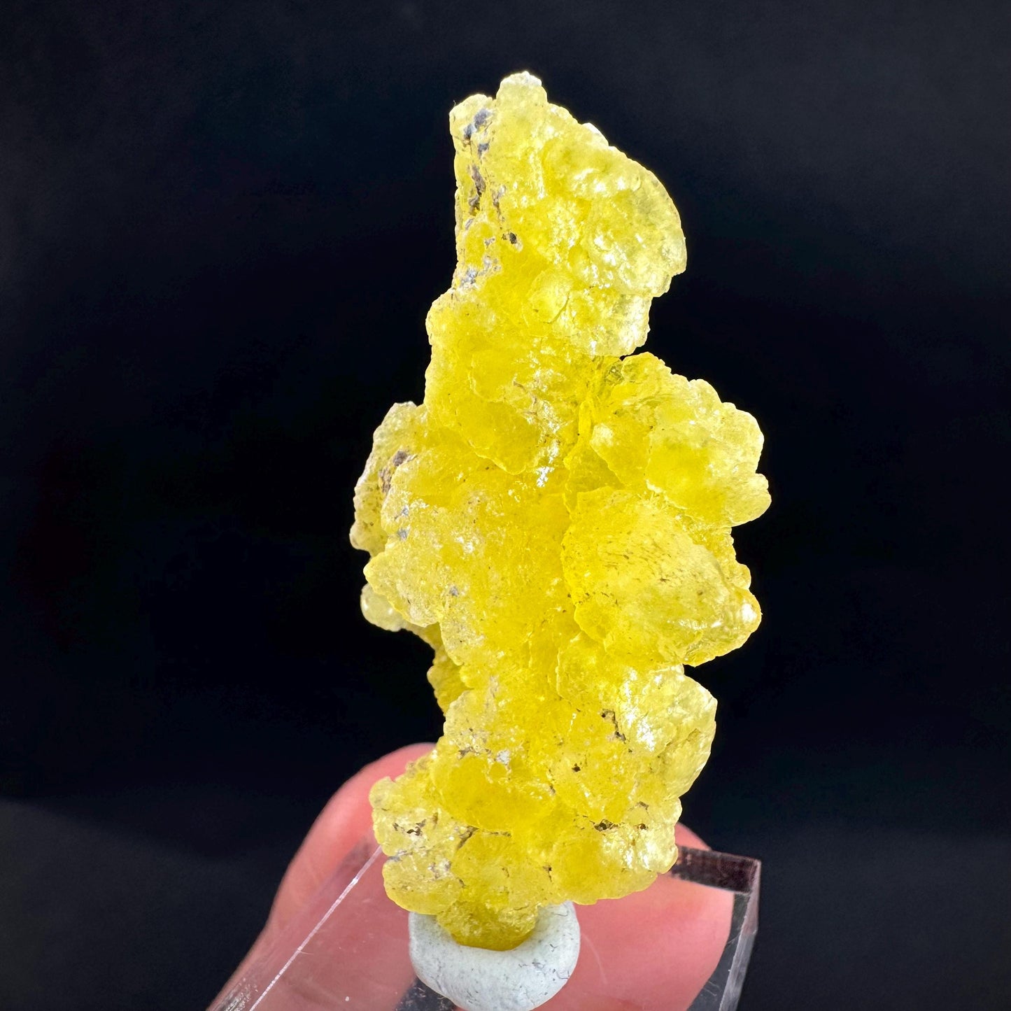 Brucite | Yellow Crystal, Lustrous Mineral Specimen From Pakistan