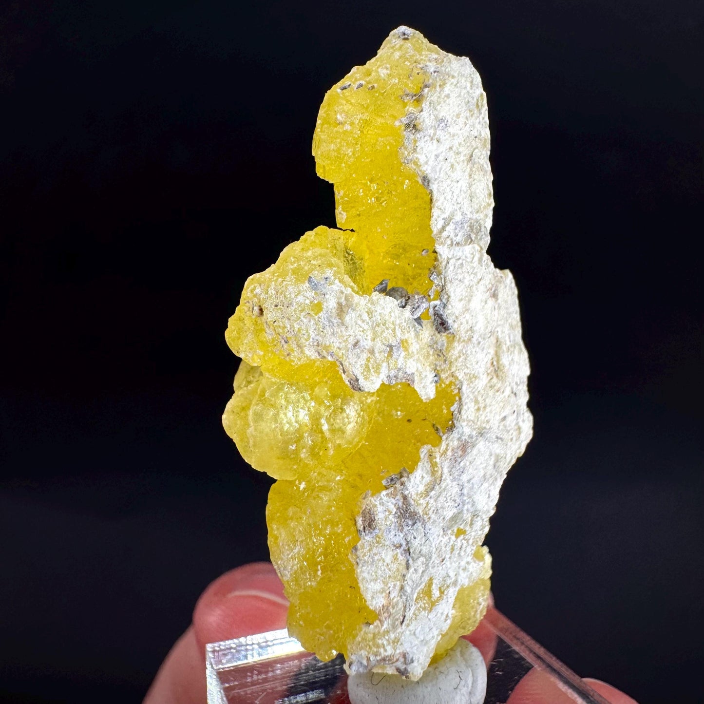 Brucite | Yellow Crystal, Lustrous Mineral Specimen From Pakistan