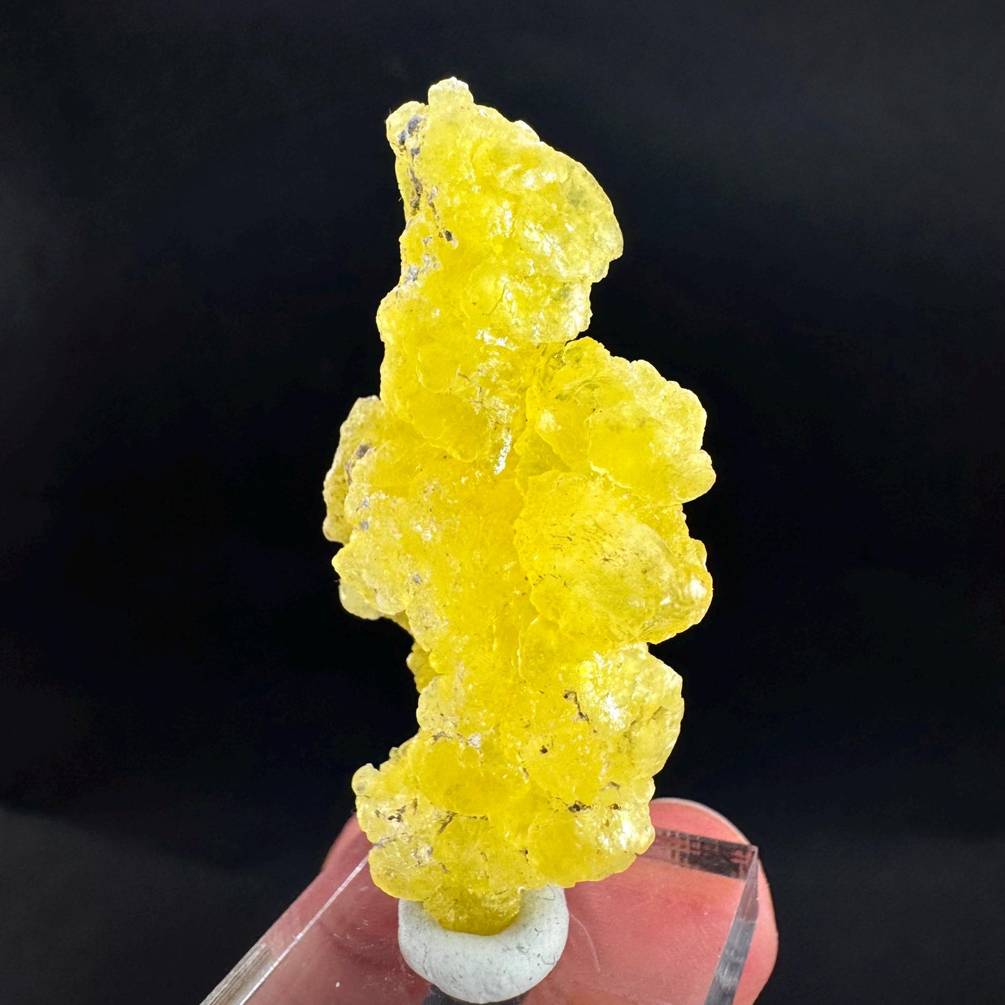 Brucite | Yellow Crystal, Lustrous Mineral Specimen From Pakistan