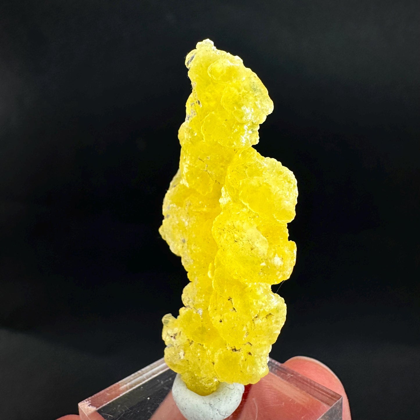 Brucite | Yellow Crystal, Lustrous Mineral Specimen From Pakistan