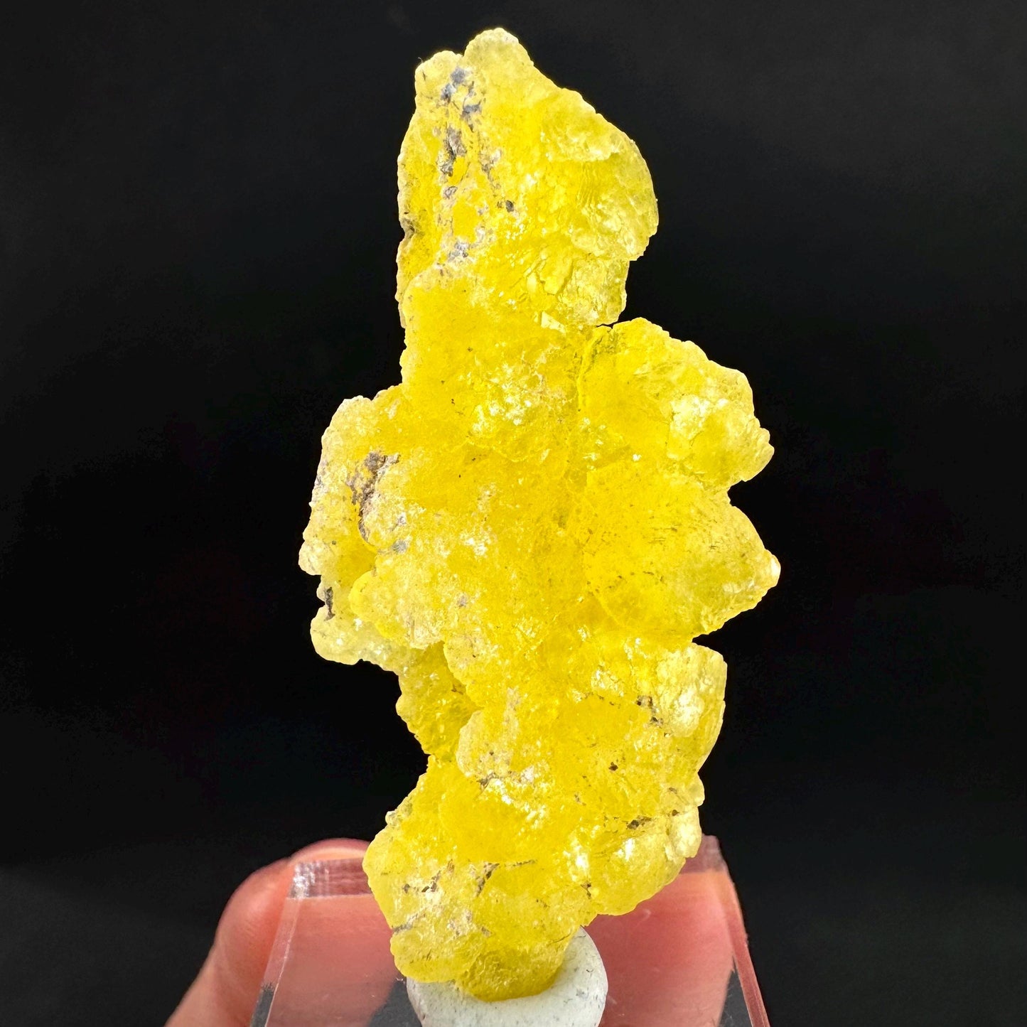 Brucite | Yellow Crystal, Lustrous Mineral Specimen From Pakistan