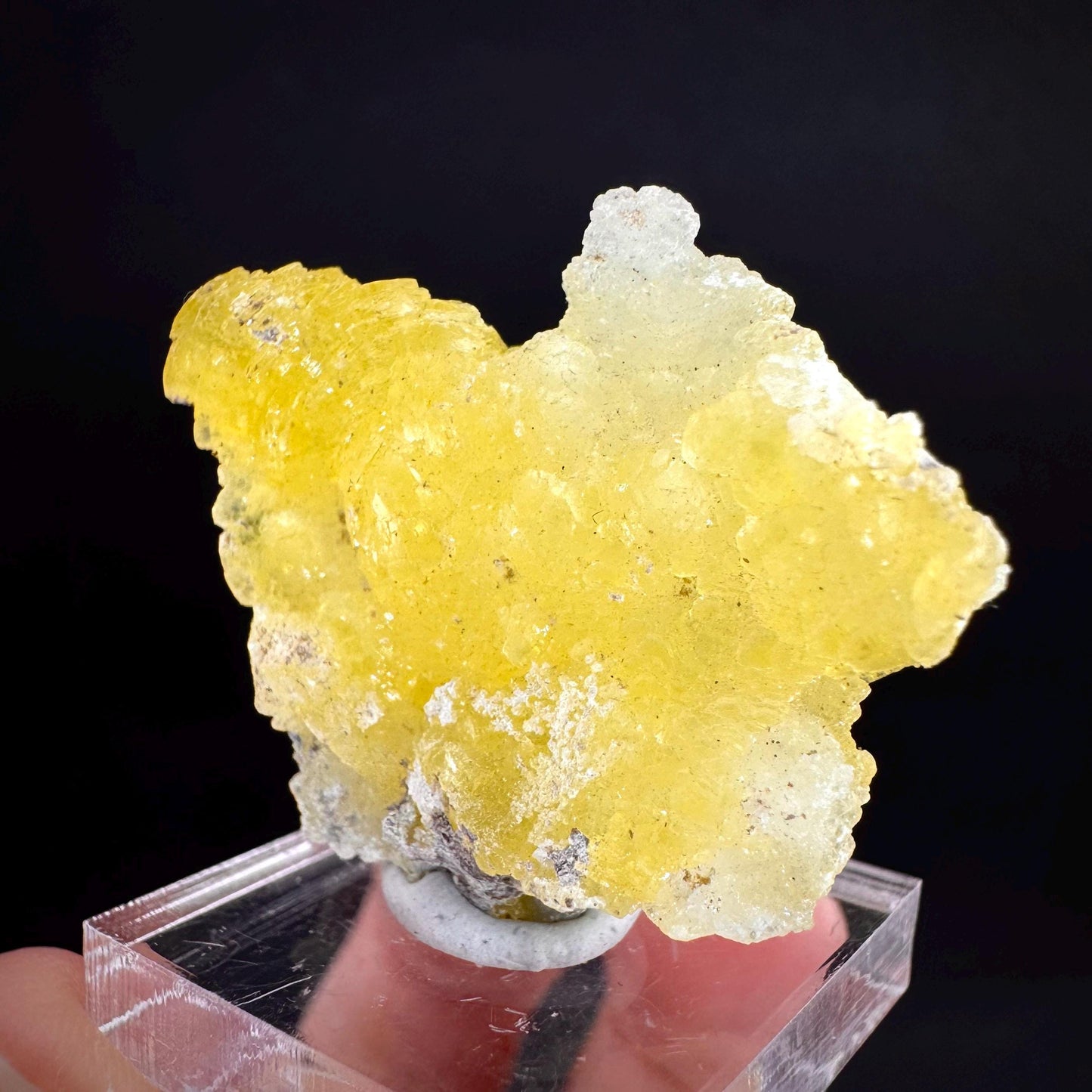 Brucite | Yellow Crystal, Lustrous Mineral Specimen From Pakistan