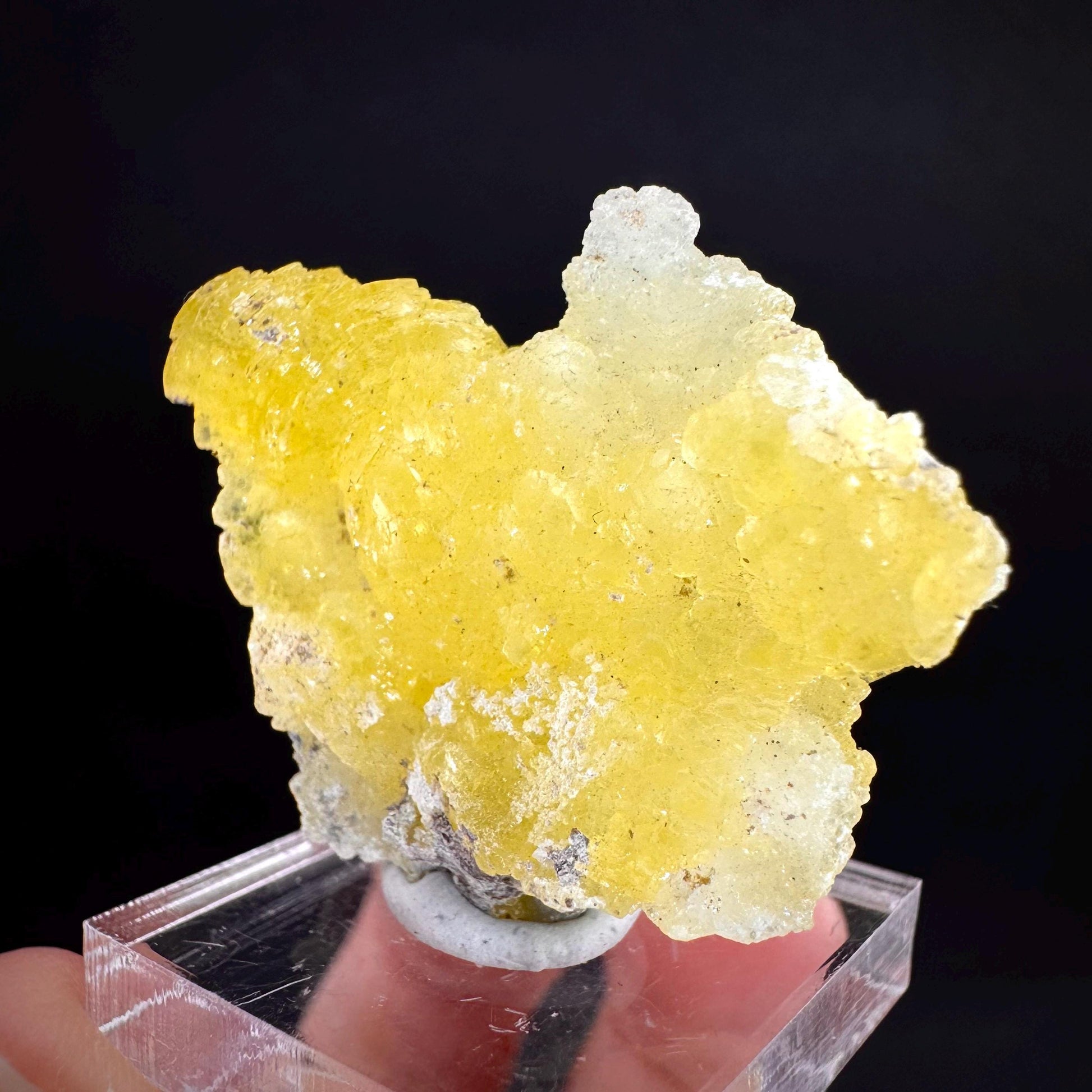 Brucite | Yellow Crystal, Lustrous Mineral Specimen From Pakistan
