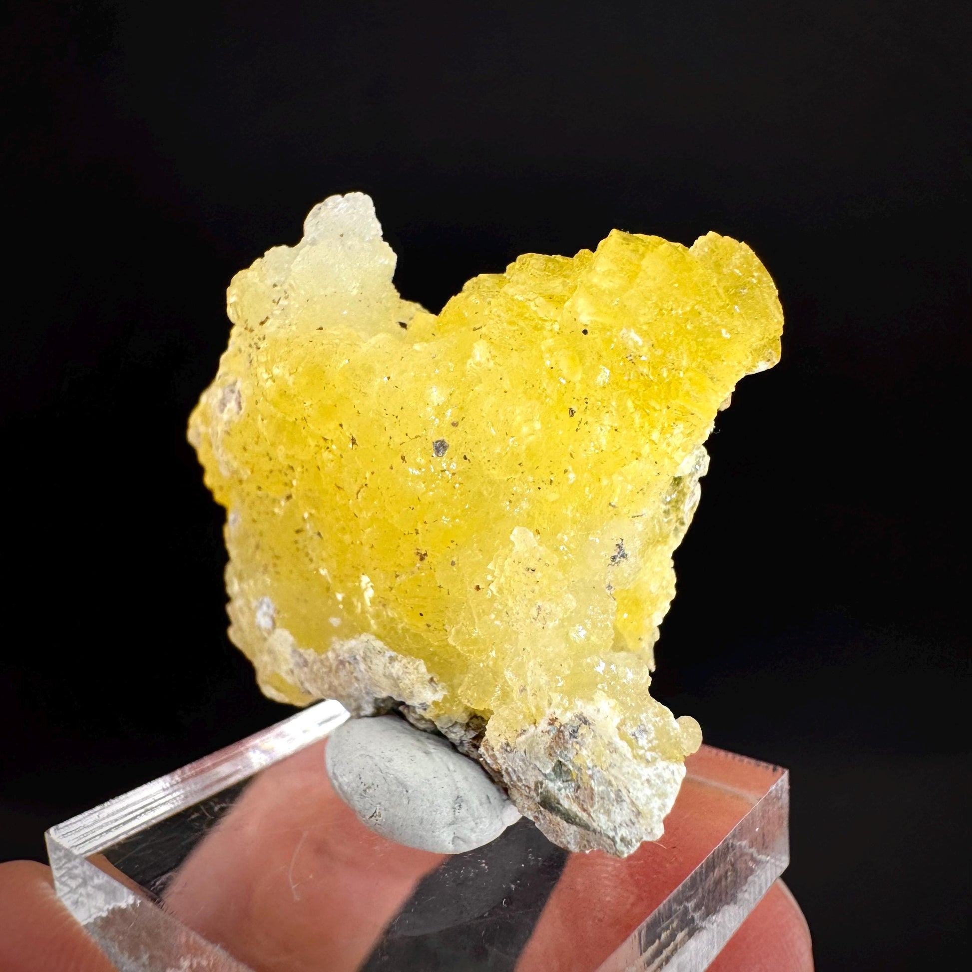 Brucite | Yellow Crystal, Lustrous Mineral Specimen From Pakistan
