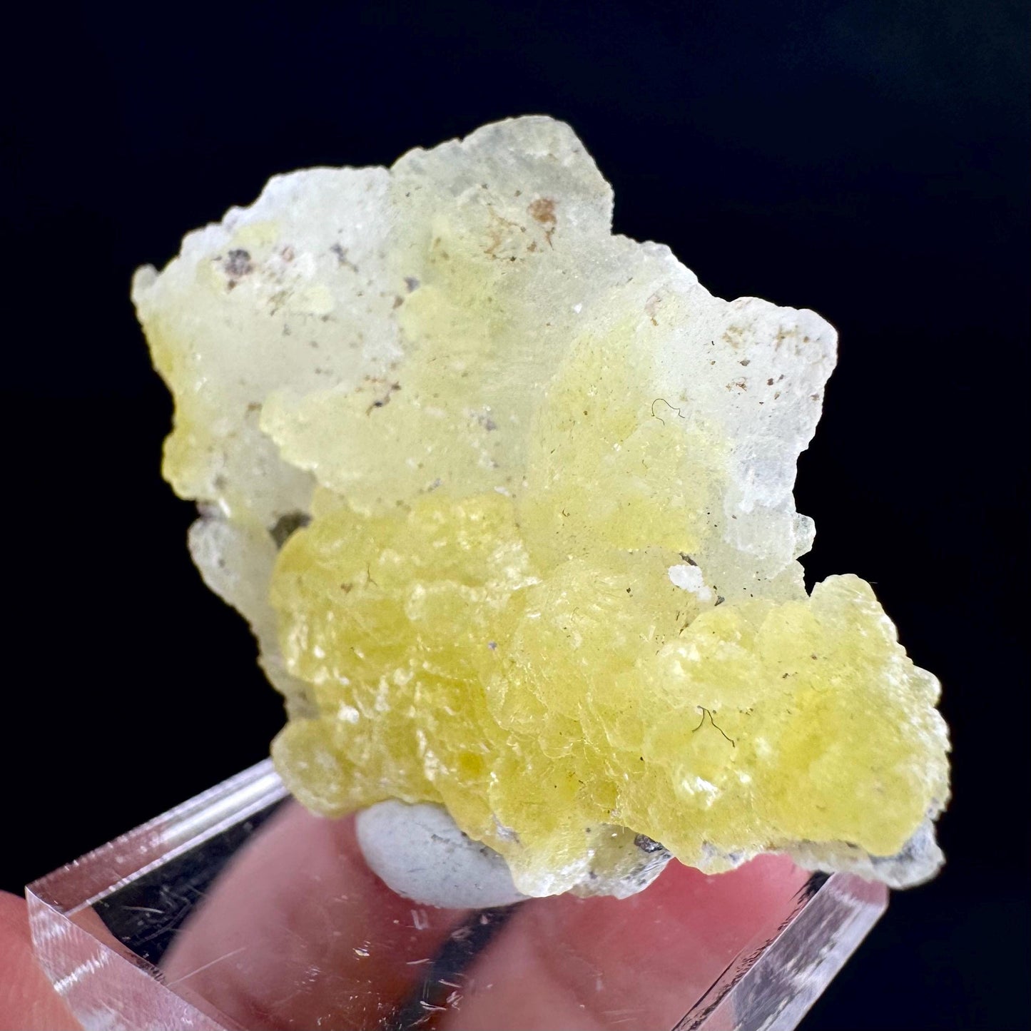 Brucite | Yellow Crystal, Lustrous Mineral Specimen From Pakistan