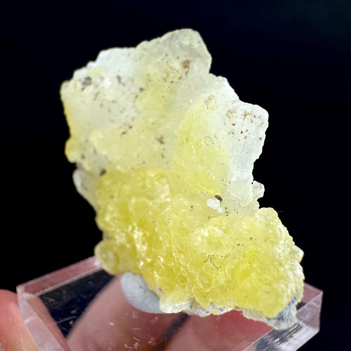 Brucite | Yellow Crystal, Lustrous Mineral Specimen From Pakistan