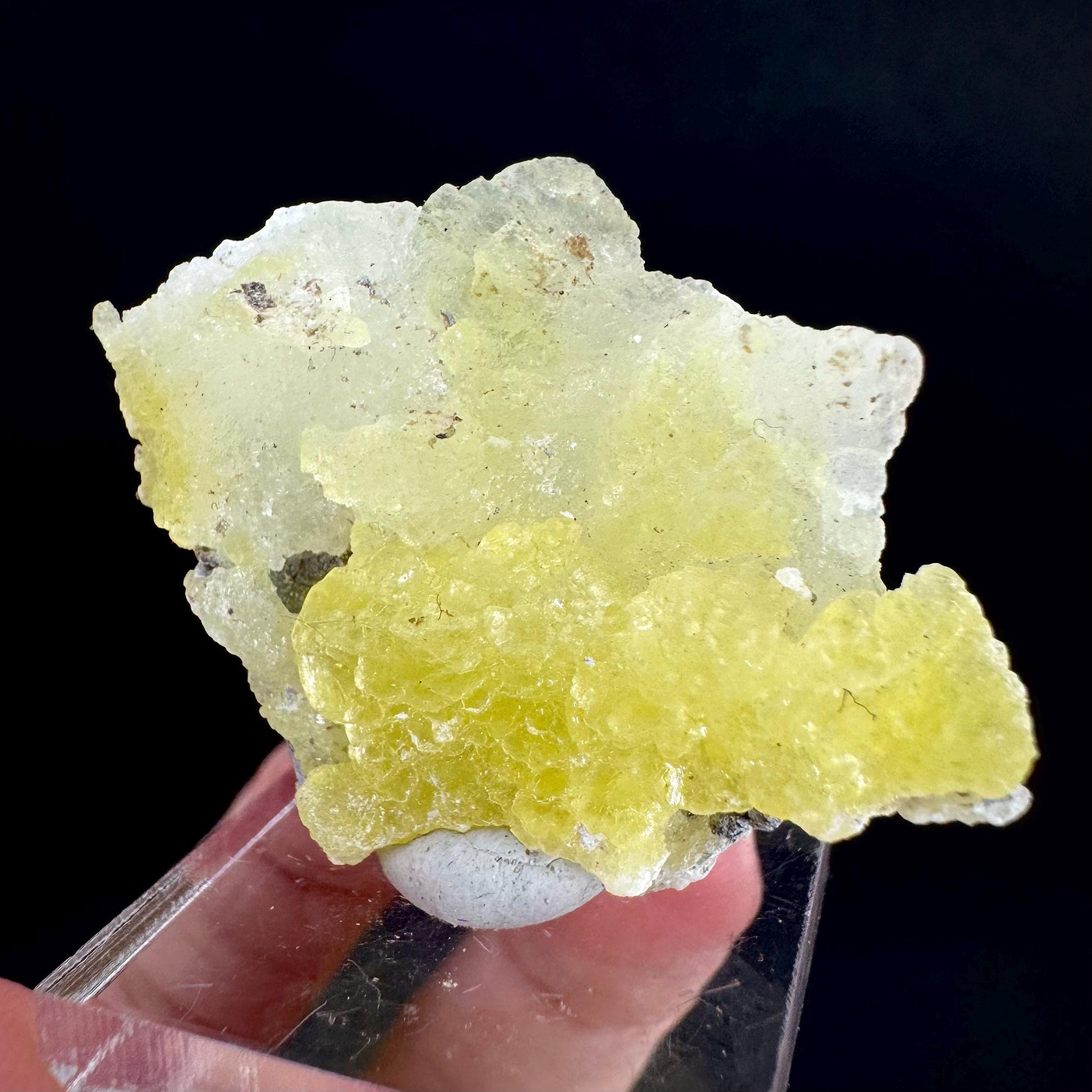 Brucite | Yellow Crystal, Lustrous Mineral Specimen From Pakistan