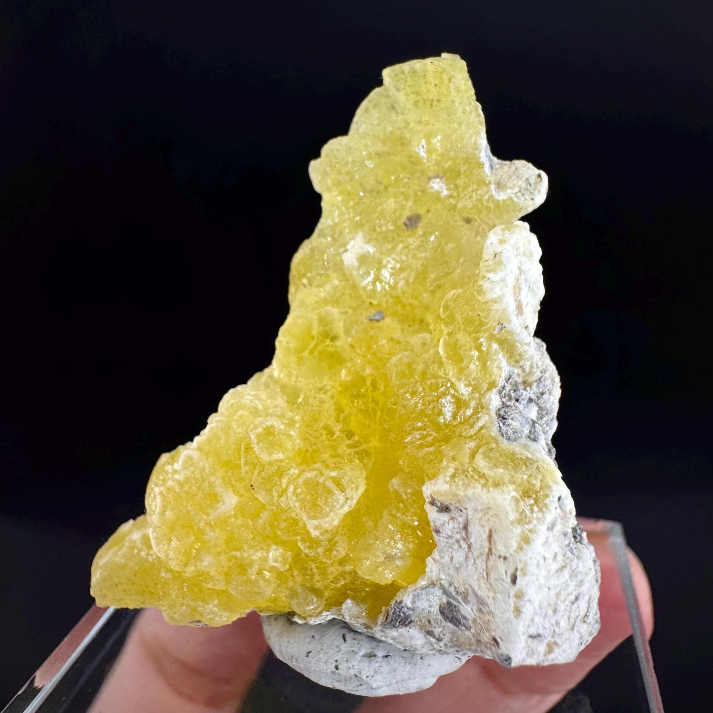 Brucite | Yellow Crystal, Lustrous Mineral Specimen From Pakistan