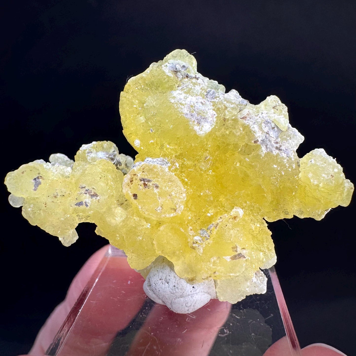 Brucite | Yellow Crystal, Lustrous Mineral Specimen From Pakistan