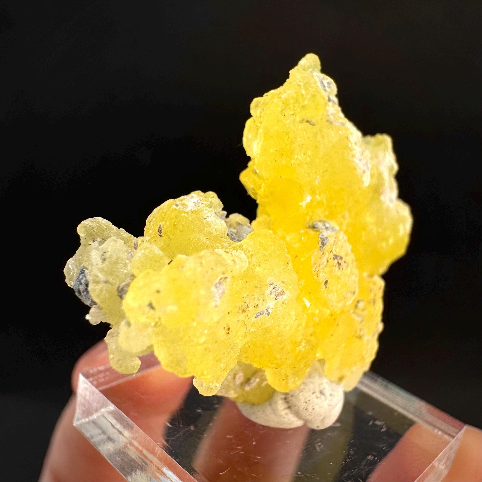 Brucite | Yellow Crystal, Lustrous Mineral Specimen From Pakistan