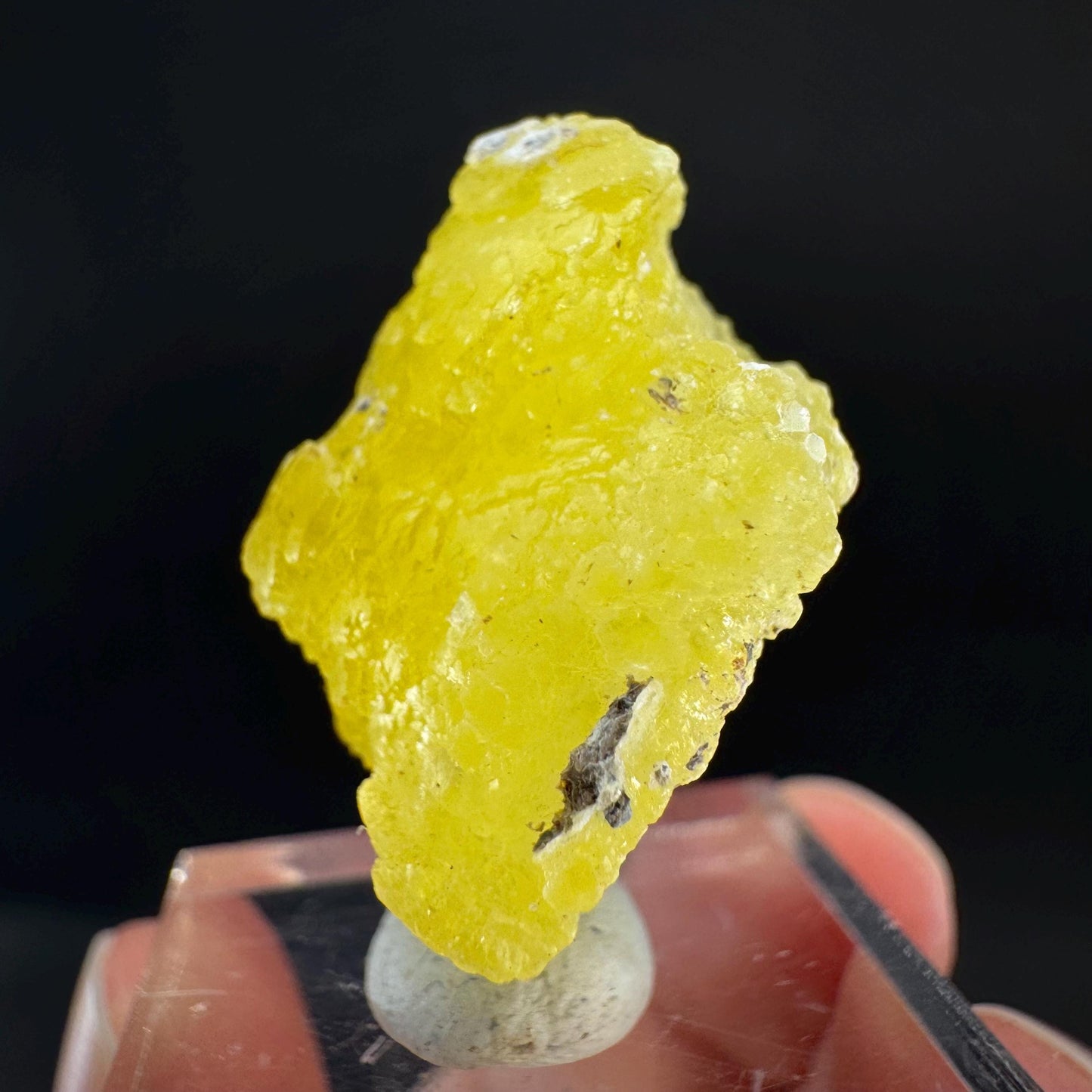 Brucite | Yellow Crystal, Lustrous Mineral Specimen From Pakistan