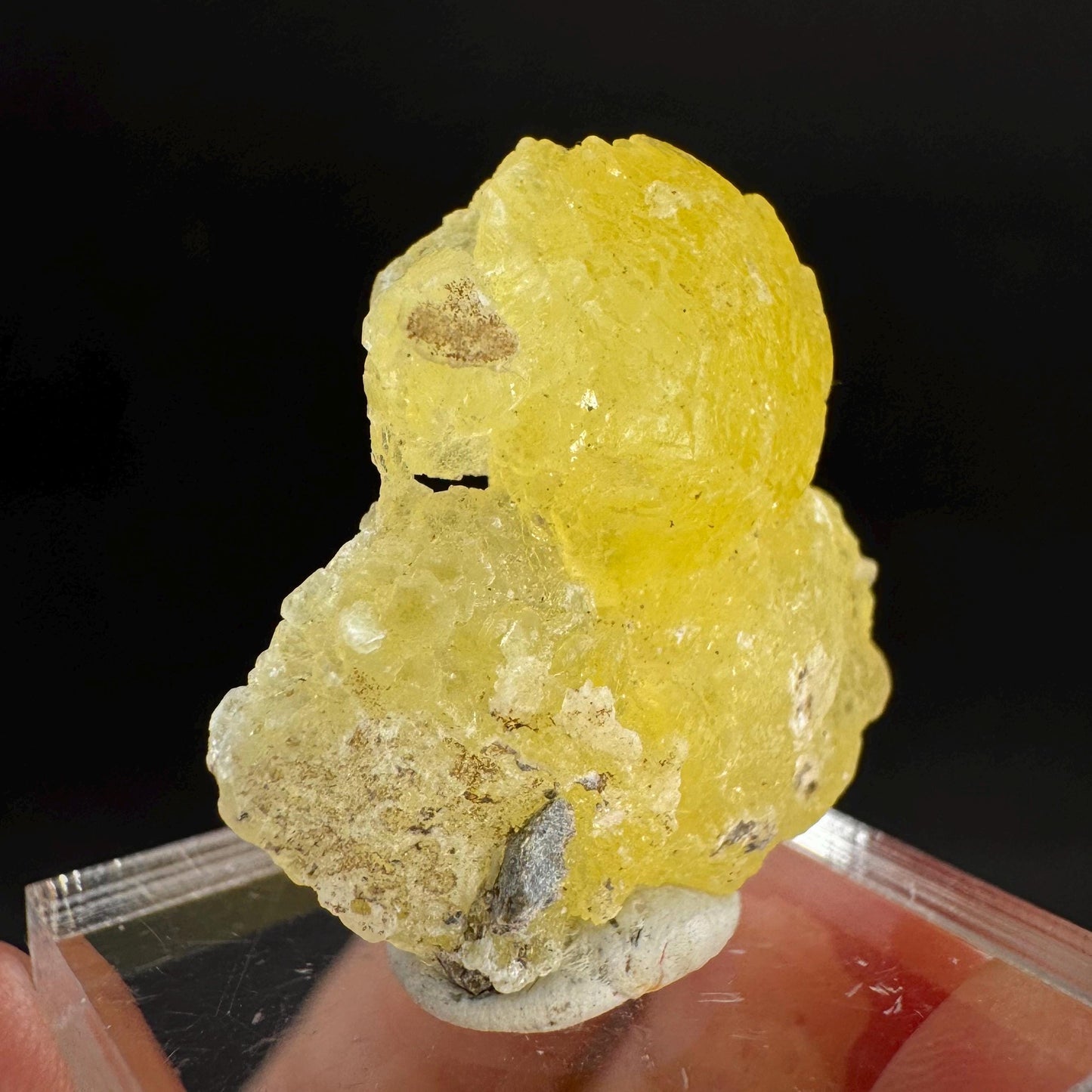 Brucite | Yellow Crystal, Lustrous Mineral Specimen From Pakistan