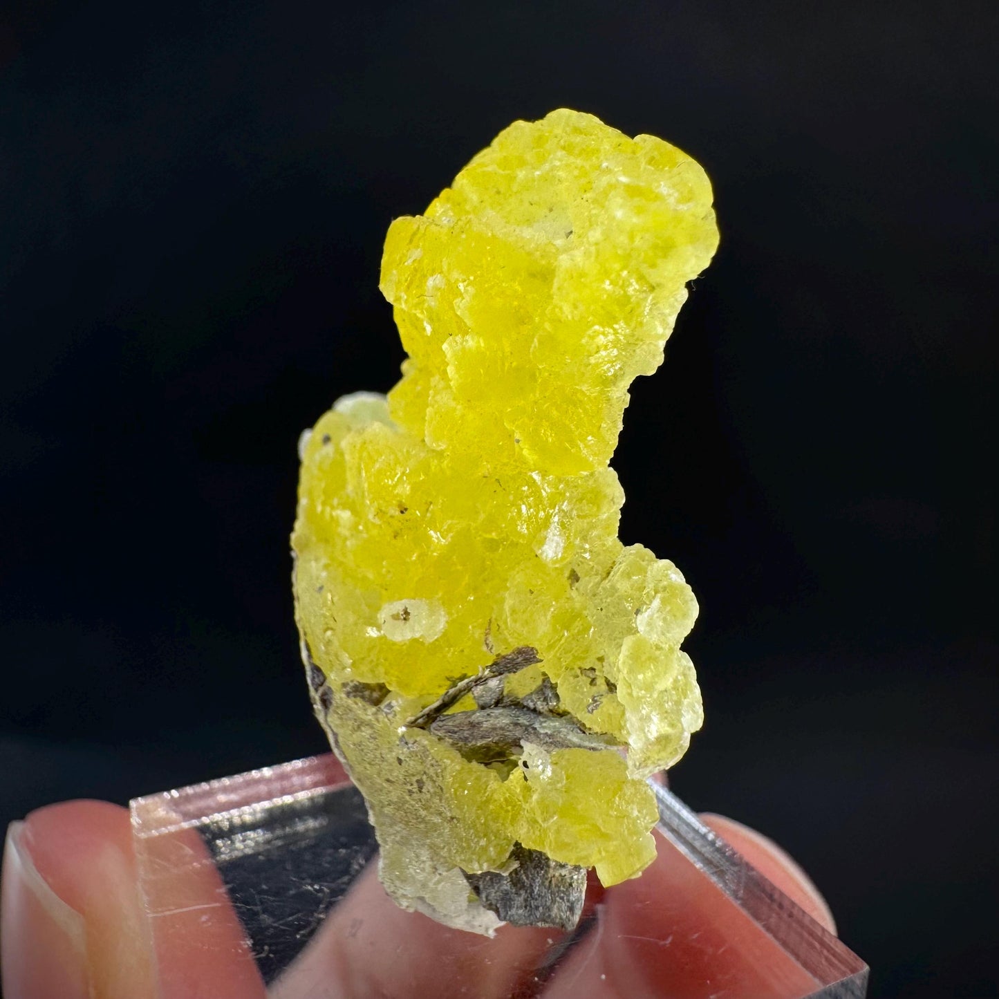 Brucite | Yellow Crystal, Lustrous Mineral Specimen From Pakistan