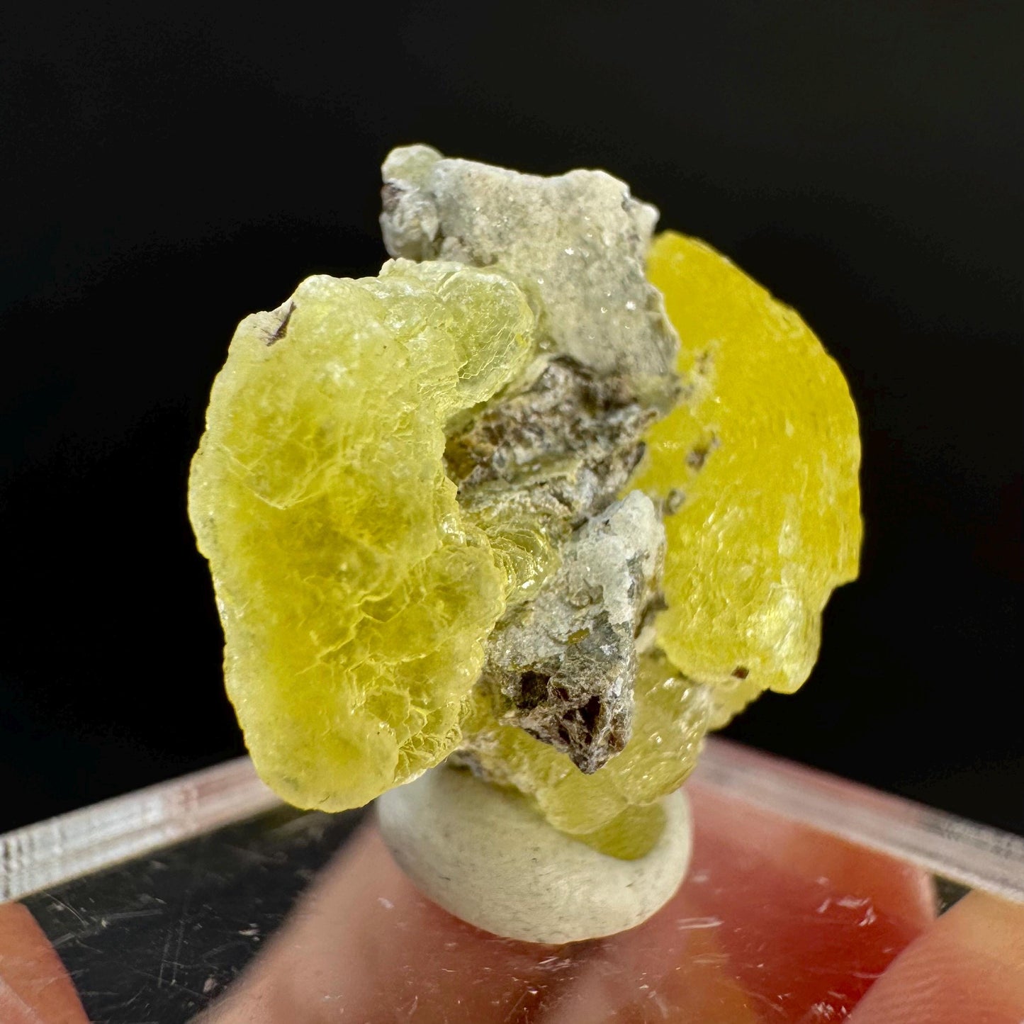 Brucite | Yellow Crystal, Lustrous Mineral Specimen From Pakistan