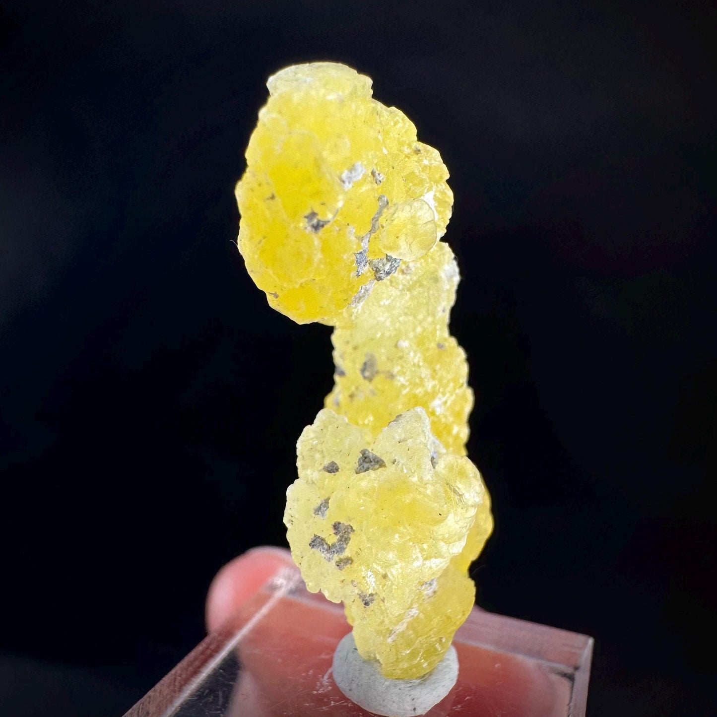 Brucite | Yellow Crystal, Lustrous Mineral Specimen From Pakistan