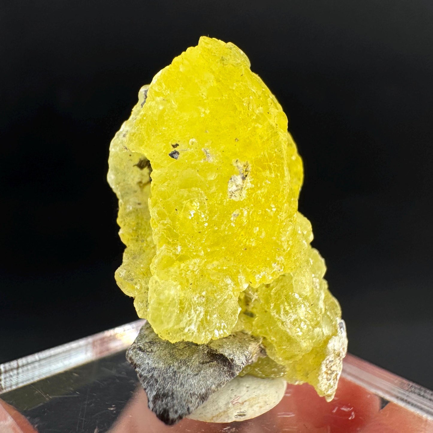 Brucite | Yellow Crystal, Lustrous Mineral Specimen From Pakistan