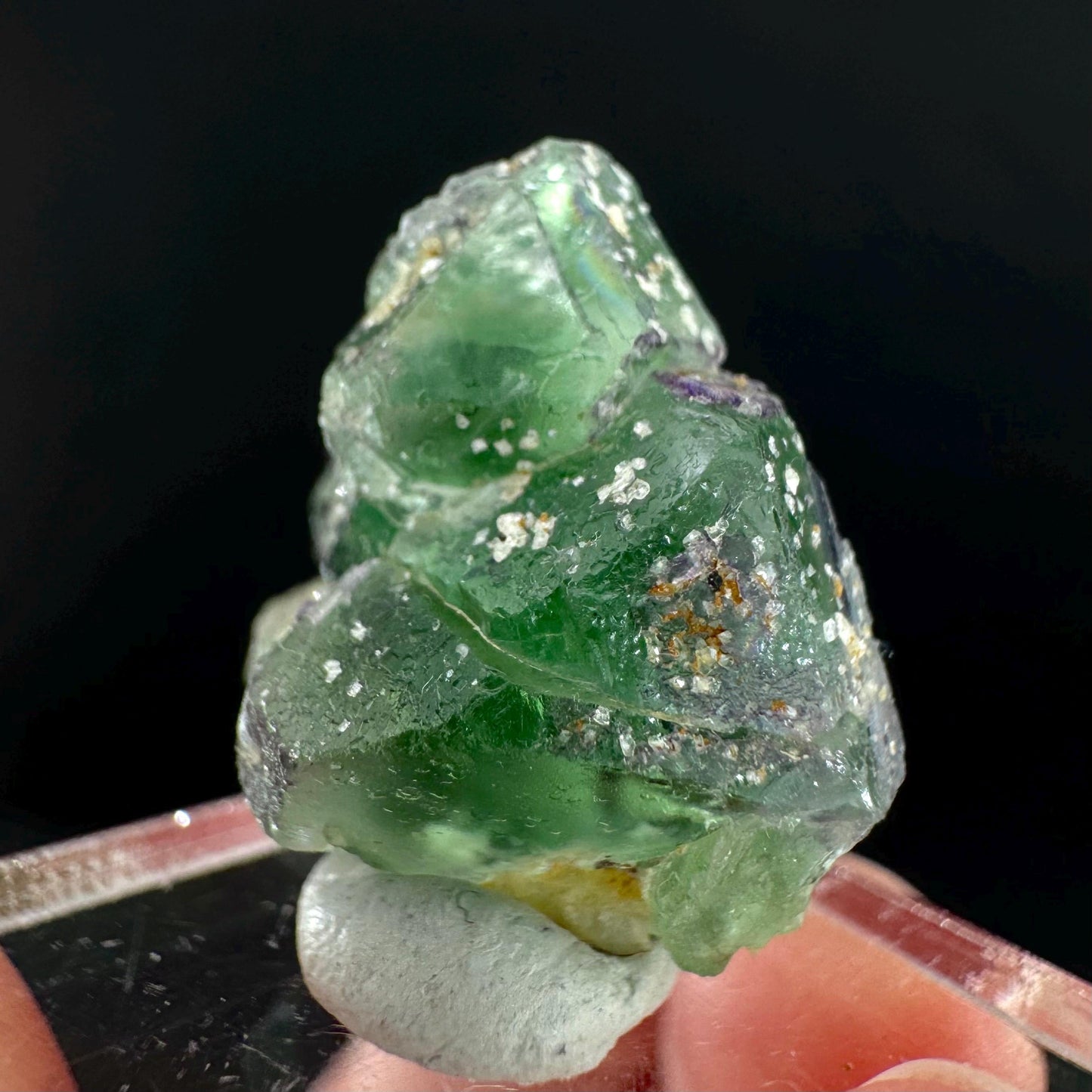 Fluorite w/ Schorl, & Muscovite | Lollipop Pocket, green crystal cluster, mineral specimen from Namibia
