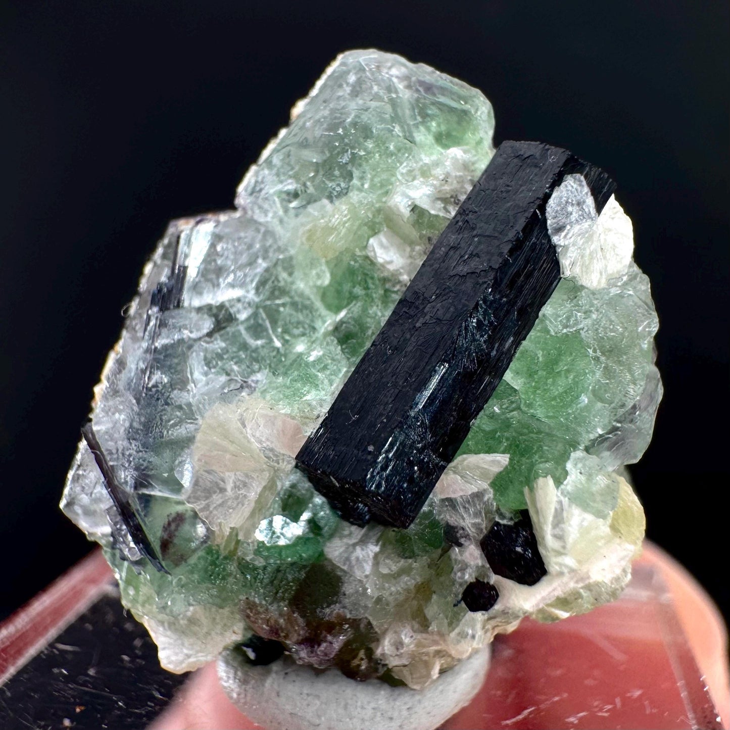 Fluorite w/ Schorl, & Muscovite | Lollipop Pocket, green crystal cluster, mineral specimen from Namibia
