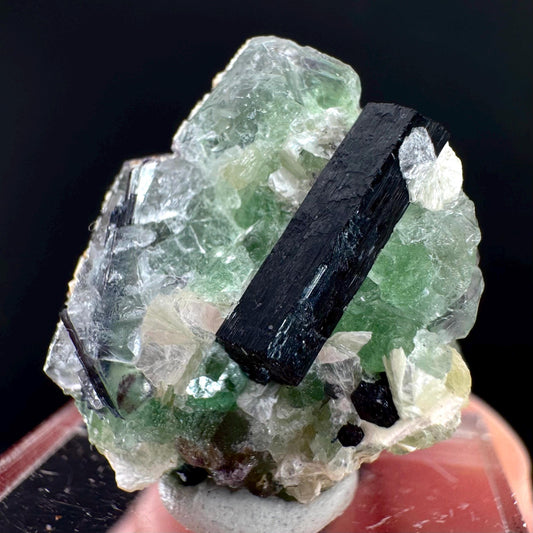Fluorite w/ Schorl, & Muscovite | Lollipop Pocket, green crystal cluster, mineral specimen from Namibia