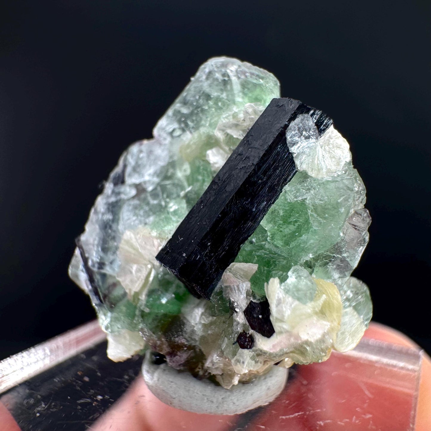 Fluorite w/ Schorl, & Muscovite | Lollipop Pocket, green crystal cluster, mineral specimen from Namibia