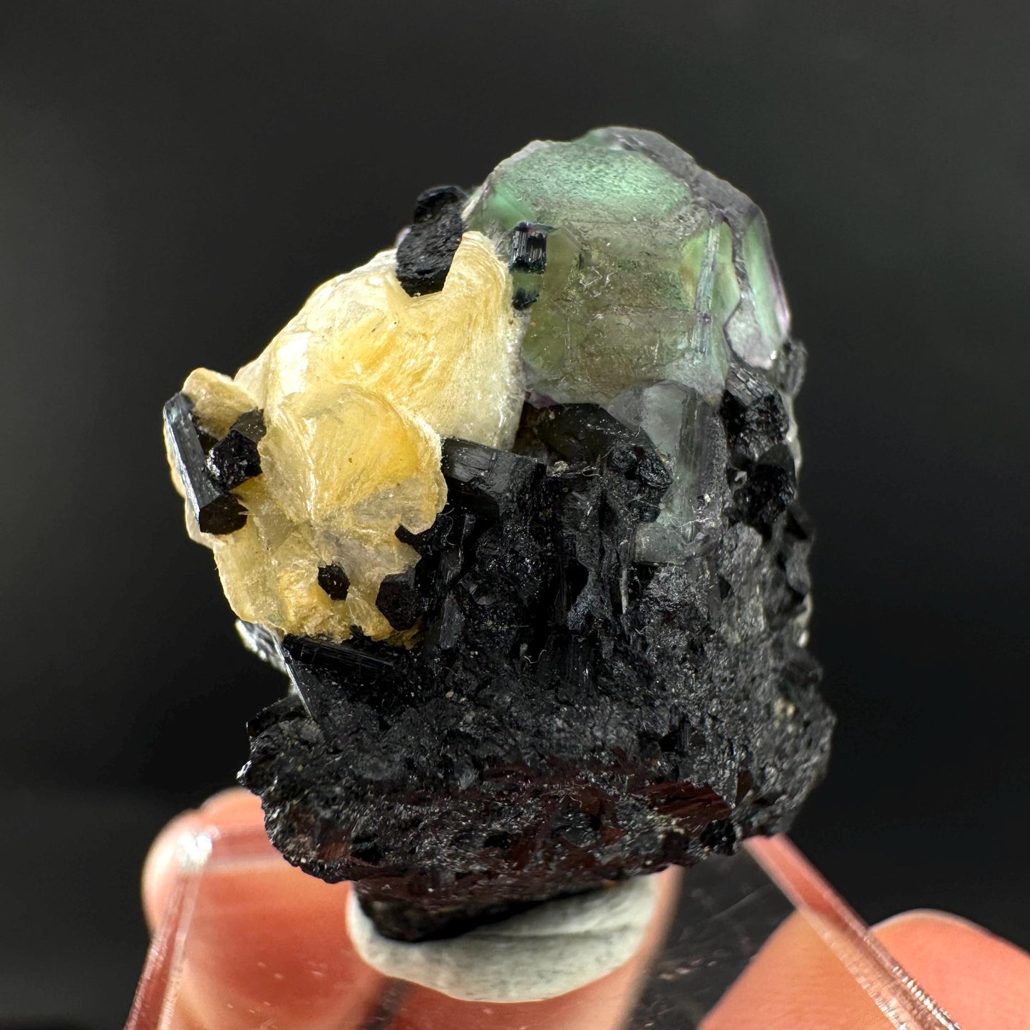 Fluorite w/ Schorl, & Muscovite | Lollipop Pocket, green crystal cluster, mineral specimen from Namibia