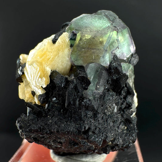Fluorite w/ Schorl, & Muscovite | Lollipop Pocket, green crystal cluster, mineral specimen from Namibia
