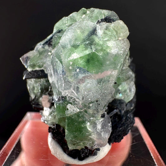 Fluorite w/ Black Tourmaline | Lollipop Pocket, green crystal, mineral specimen from Namibia