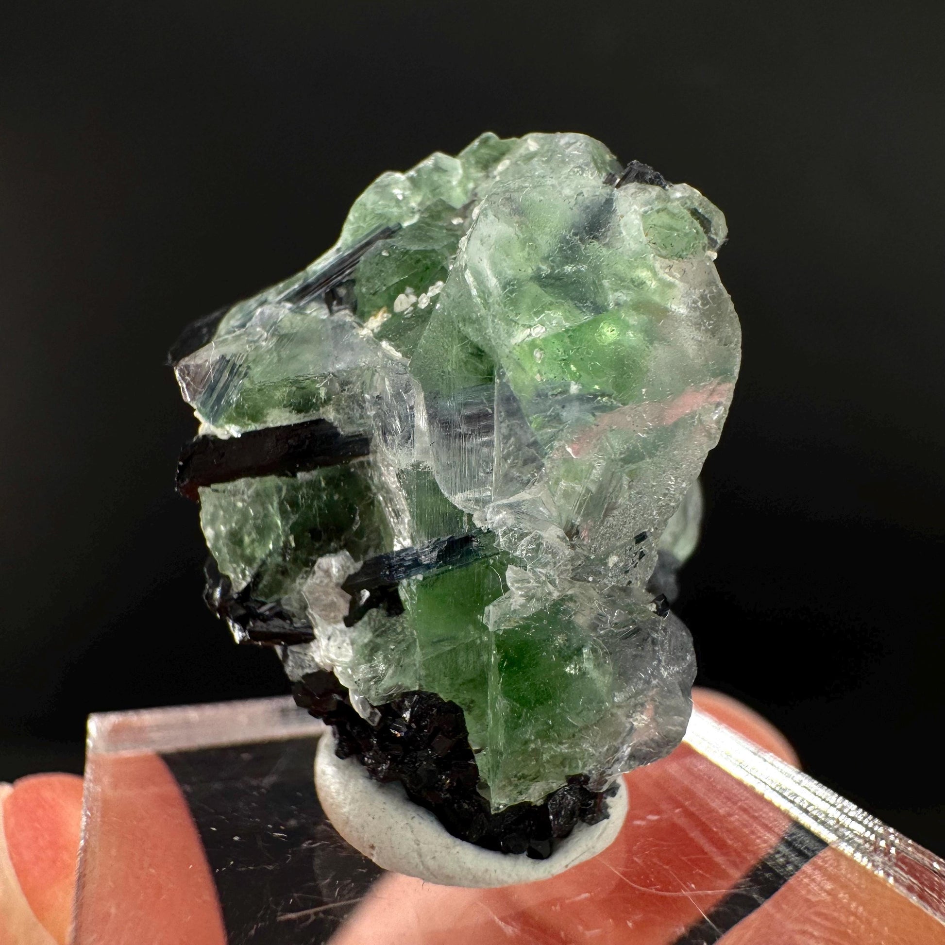 Fluorite w/ Black Tourmaline | Lollipop Pocket, green crystal, mineral specimen from Namibia
