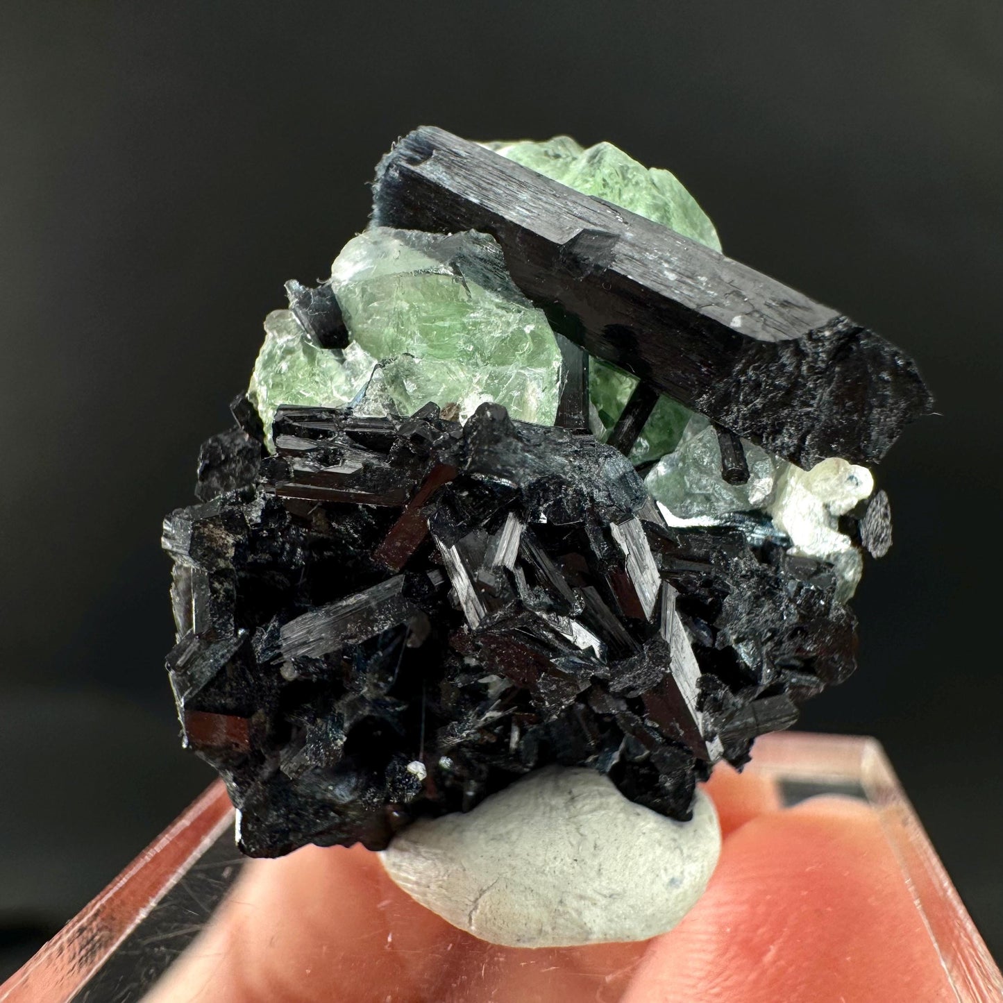 Fluorite w/ Black Tourmaline | Lollipop Pocket, green crystal, mineral specimen from Namibia