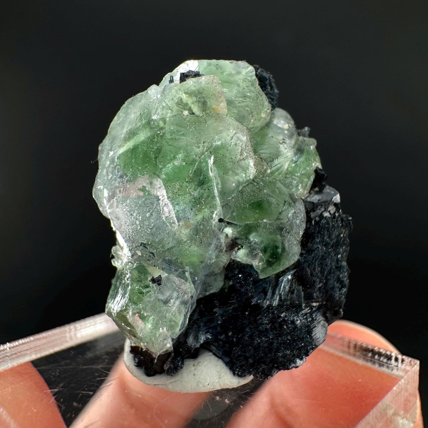 Fluorite w/ Black Tourmaline | Lollipop Pocket, green crystal, mineral specimen from Namibia