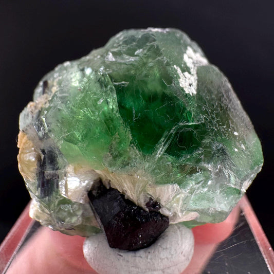 Fluorite w/ Schorl, & Muscovite | Lollipop Pocket, green crystal cluster, mineral specimen from Namibia