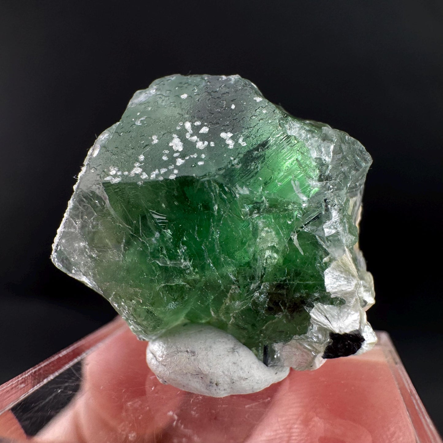 Fluorite w/ Schorl, & Muscovite | Lollipop Pocket, green crystal cluster, mineral specimen from Namibia