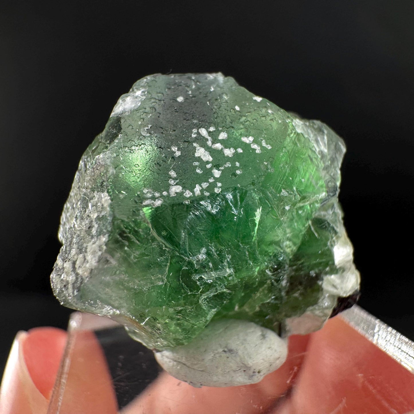 Fluorite w/ Schorl, & Muscovite | Lollipop Pocket, green crystal cluster, mineral specimen from Namibia