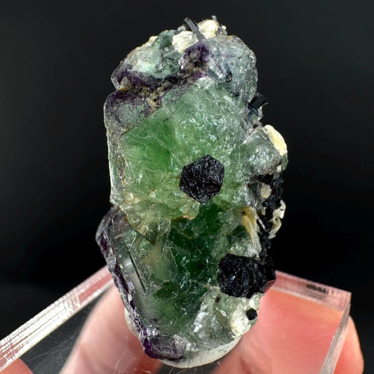 Fluorite w/ Schorl, & Muscovite | Lollipop Pocket, green crystal cluster, mineral specimen from Namibia