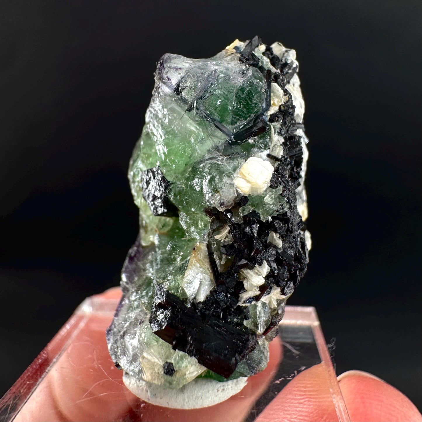 Fluorite w/ Schorl, & Muscovite | Lollipop Pocket, green crystal cluster, mineral specimen from Namibia
