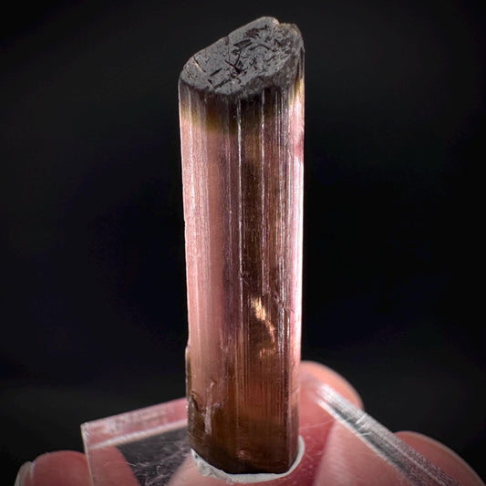Elbaite Tourmaline | Pink & Green Crystal, mineral specimen from Paprok