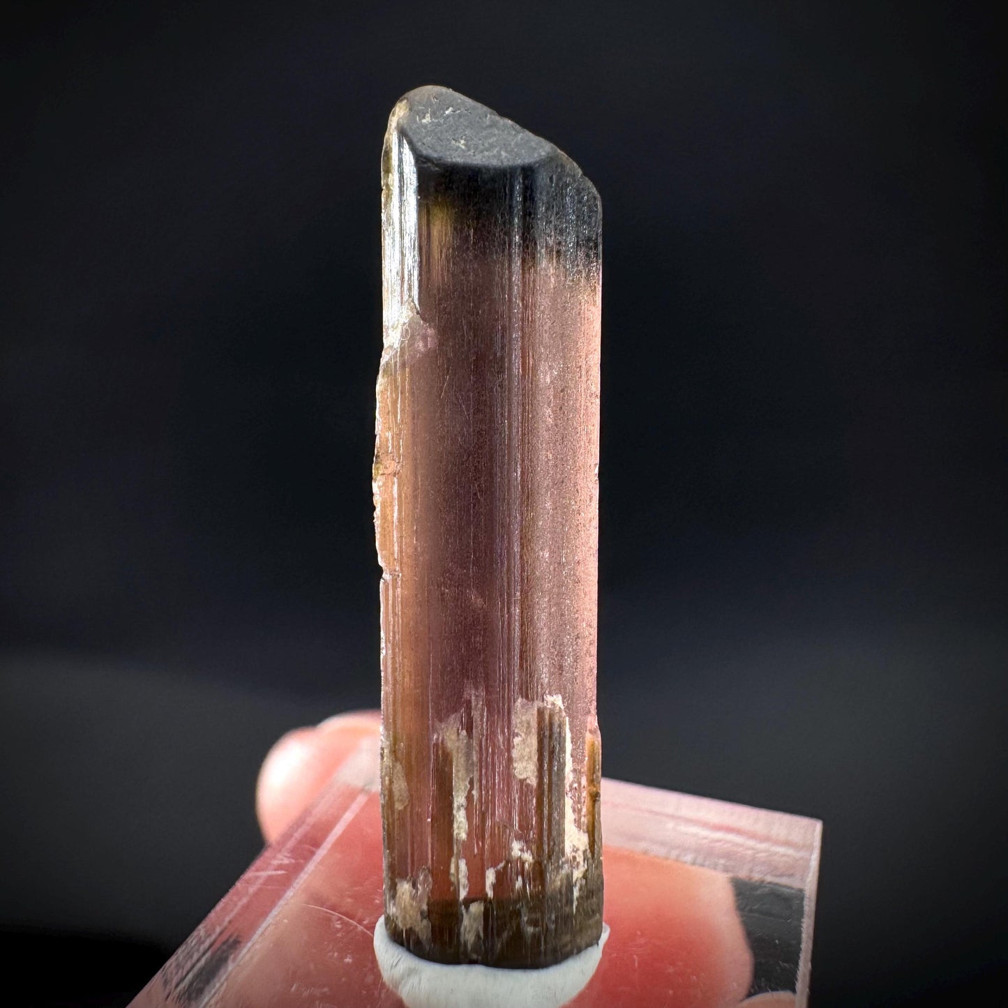 Elbaite Tourmaline | Pink & Green Crystal, mineral specimen from Paprok