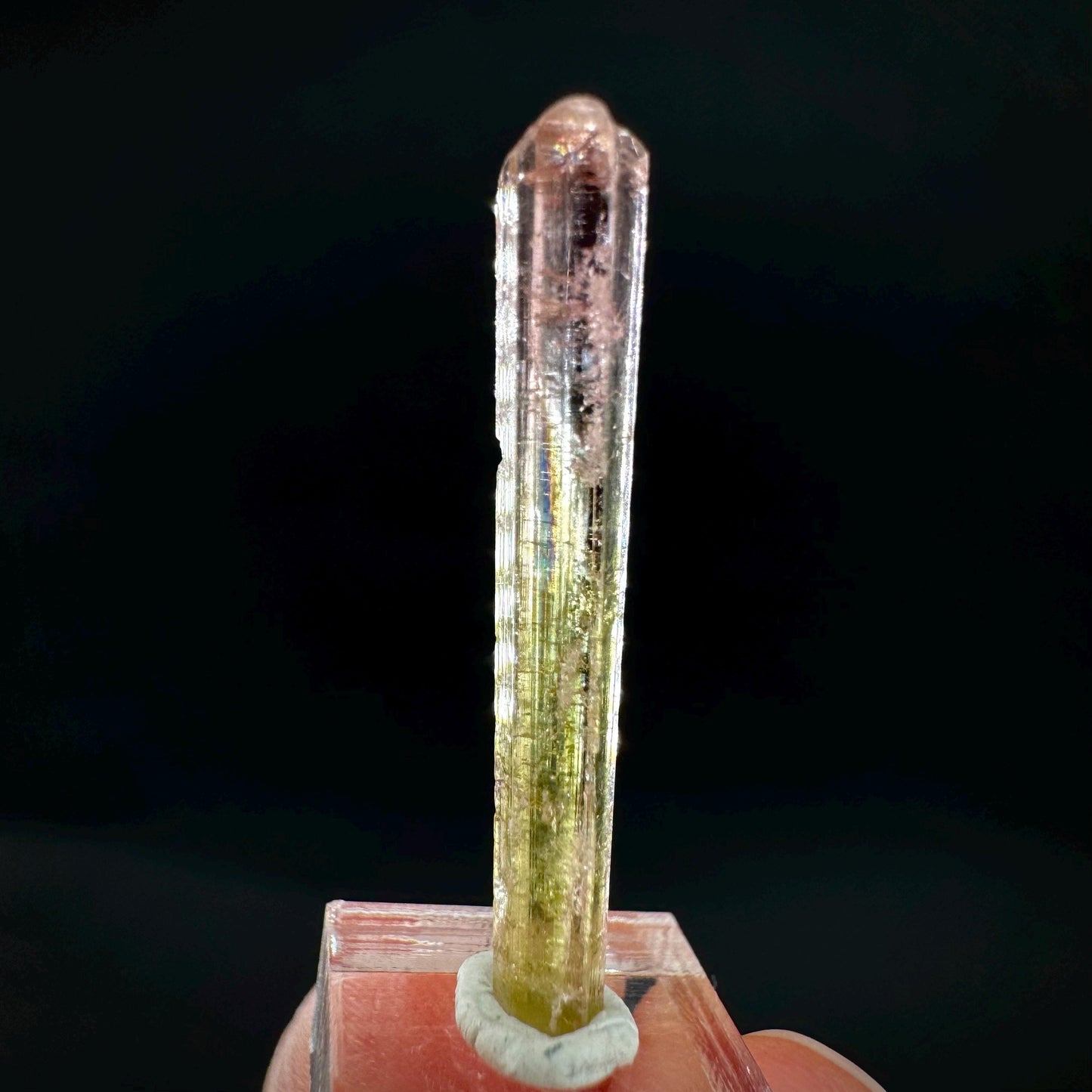Watermelon Tourmaline | Green & Pink Elbaite Crystal, mineral specimen from Paprok