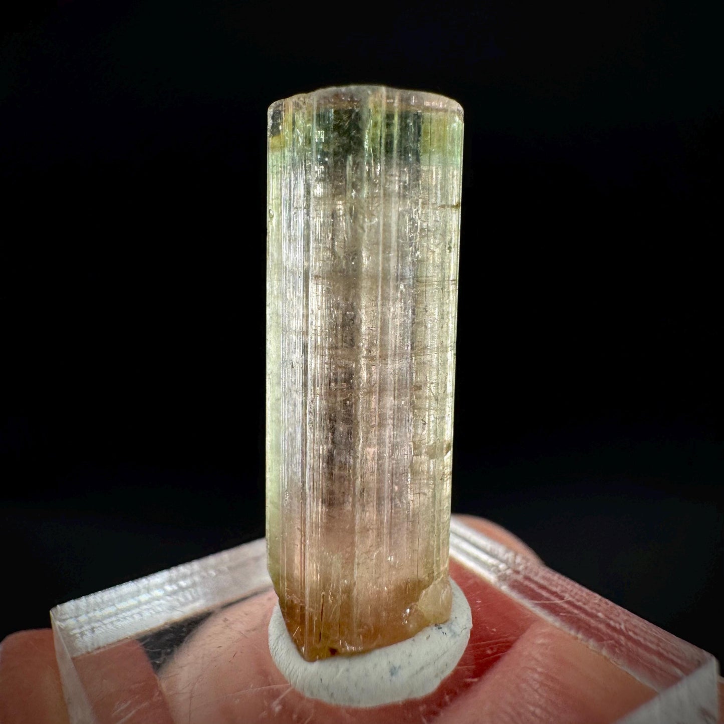 Watermelon Tourmaline | Green & Pink Elbaite Crystal, mineral specimen from Paprok