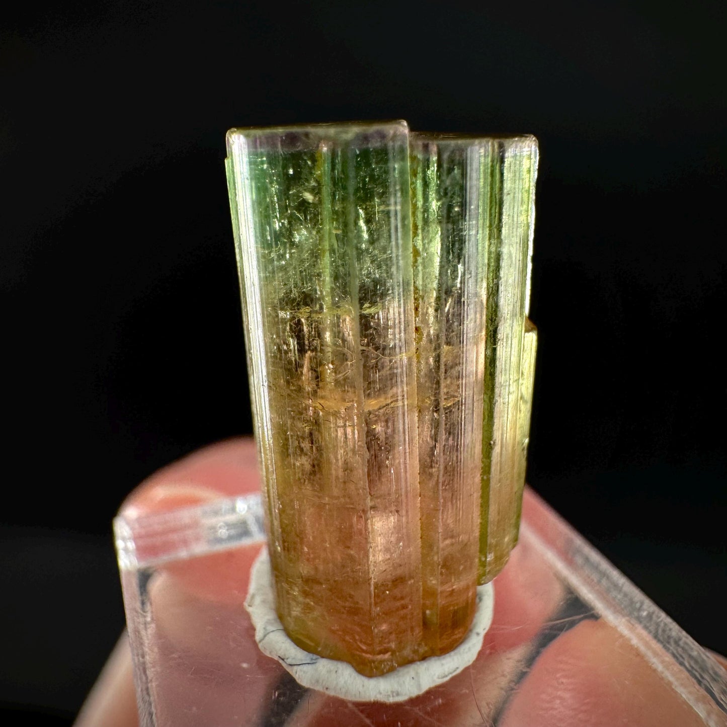 Watermelon Tourmaline | Green & Pink Elbaite Crystal, mineral specimen from Paprok