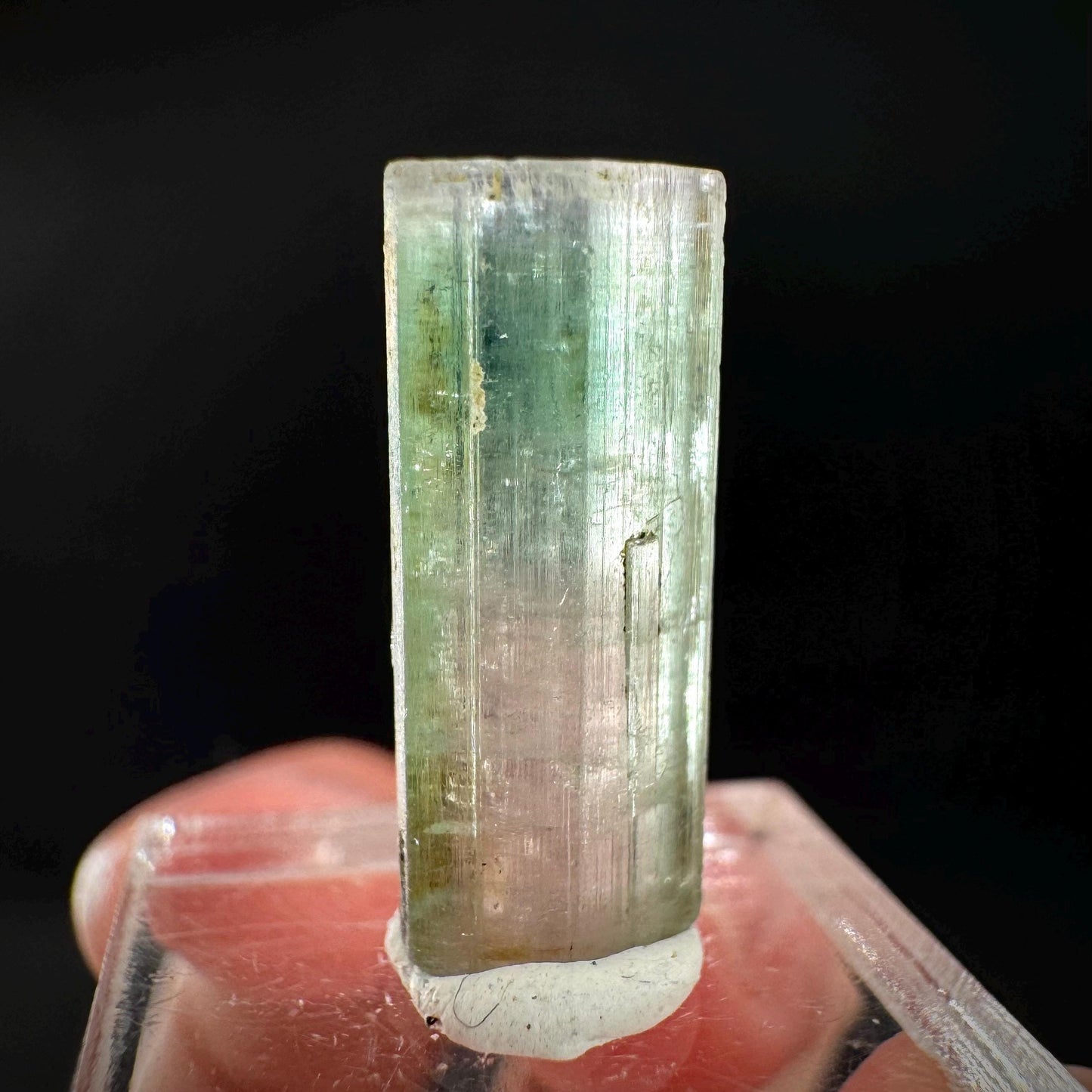 Watermelon Tourmaline | Green & Pink Elbaite Crystal, mineral specimen from Paprok