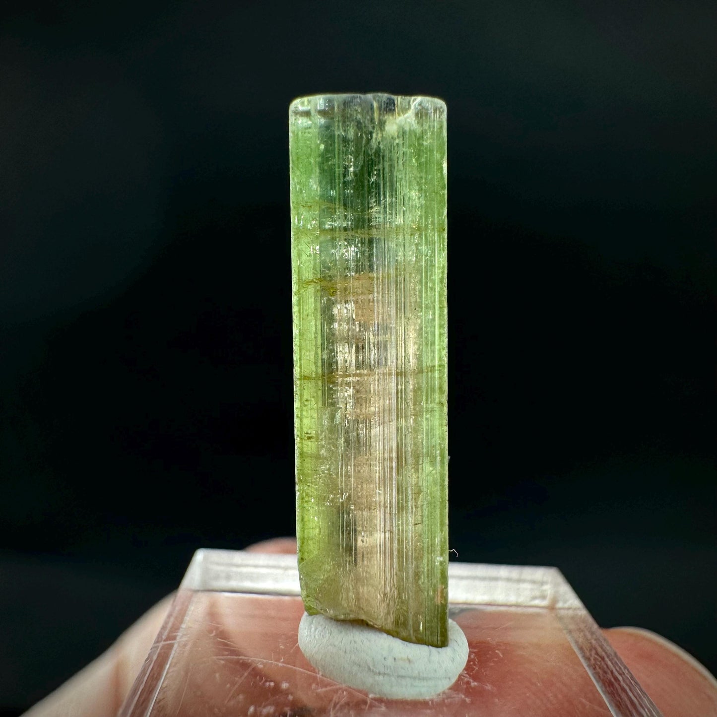 Watermelon Tourmaline | Green & Pink Elbaite Crystal, mineral specimen from Paprok