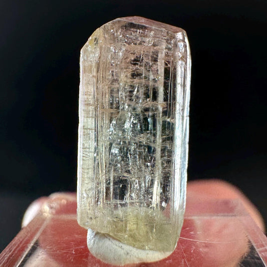 Watermelon Tourmaline | Green & Pink Elbaite Crystal, mineral specimen from Paprok