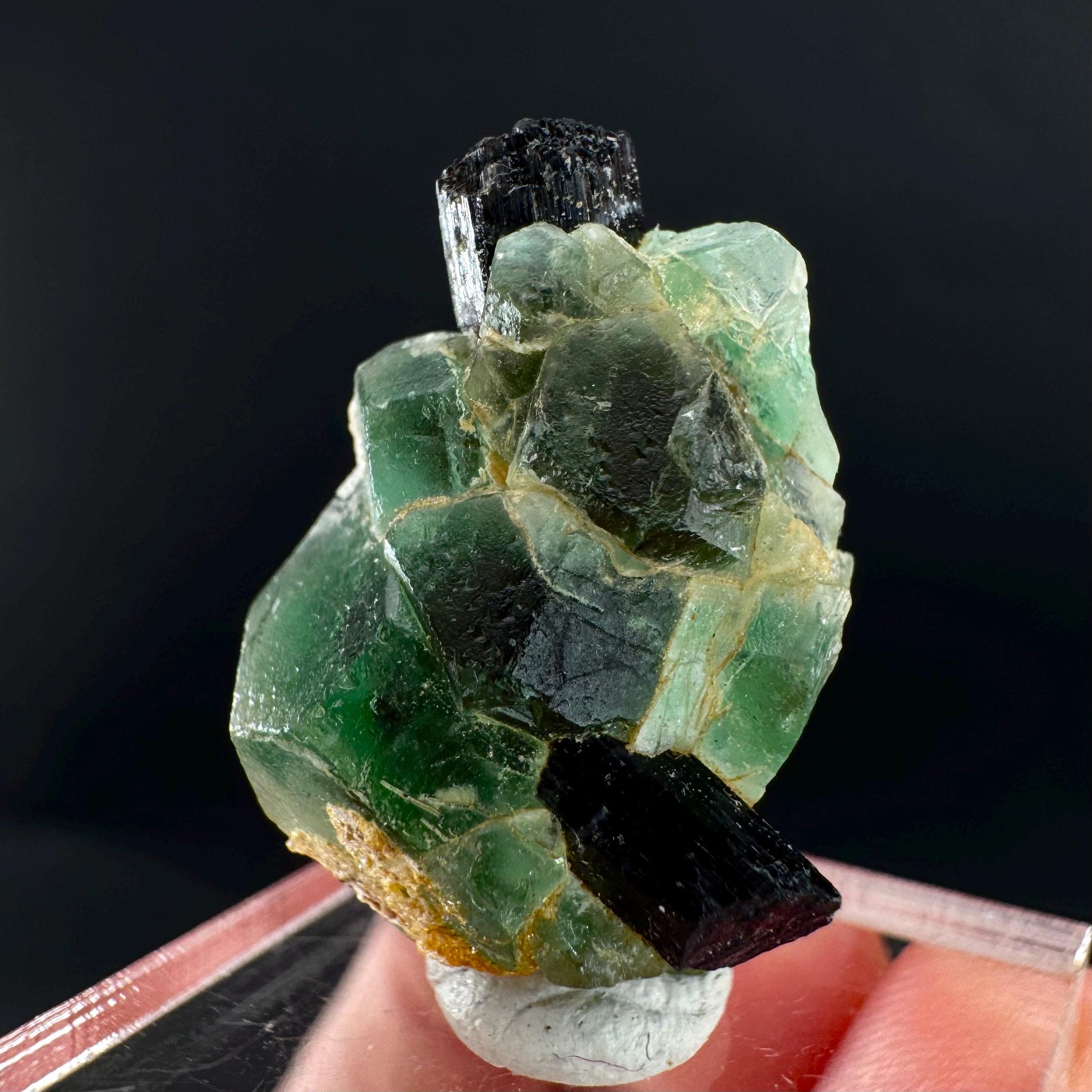 Fluorite w/ Black Tourmaline | Lollipop Pocket, green crystal, mineral specimen from Namibia