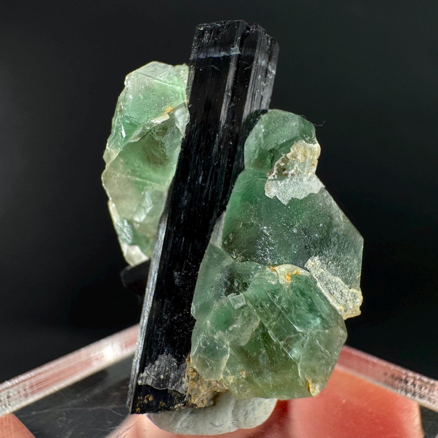 Fluorite w/ Black Tourmaline | Lollipop Pocket, green crystal, mineral specimen from Namibia