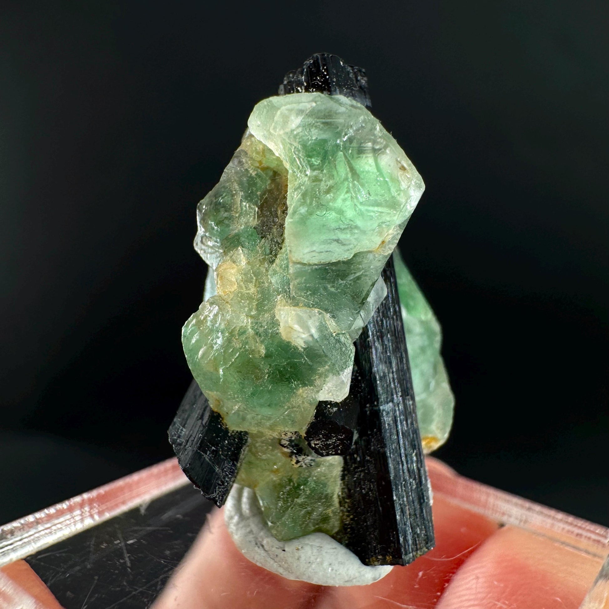 Fluorite w/ Black Tourmaline | Lollipop Pocket, green crystal, mineral specimen from Namibia