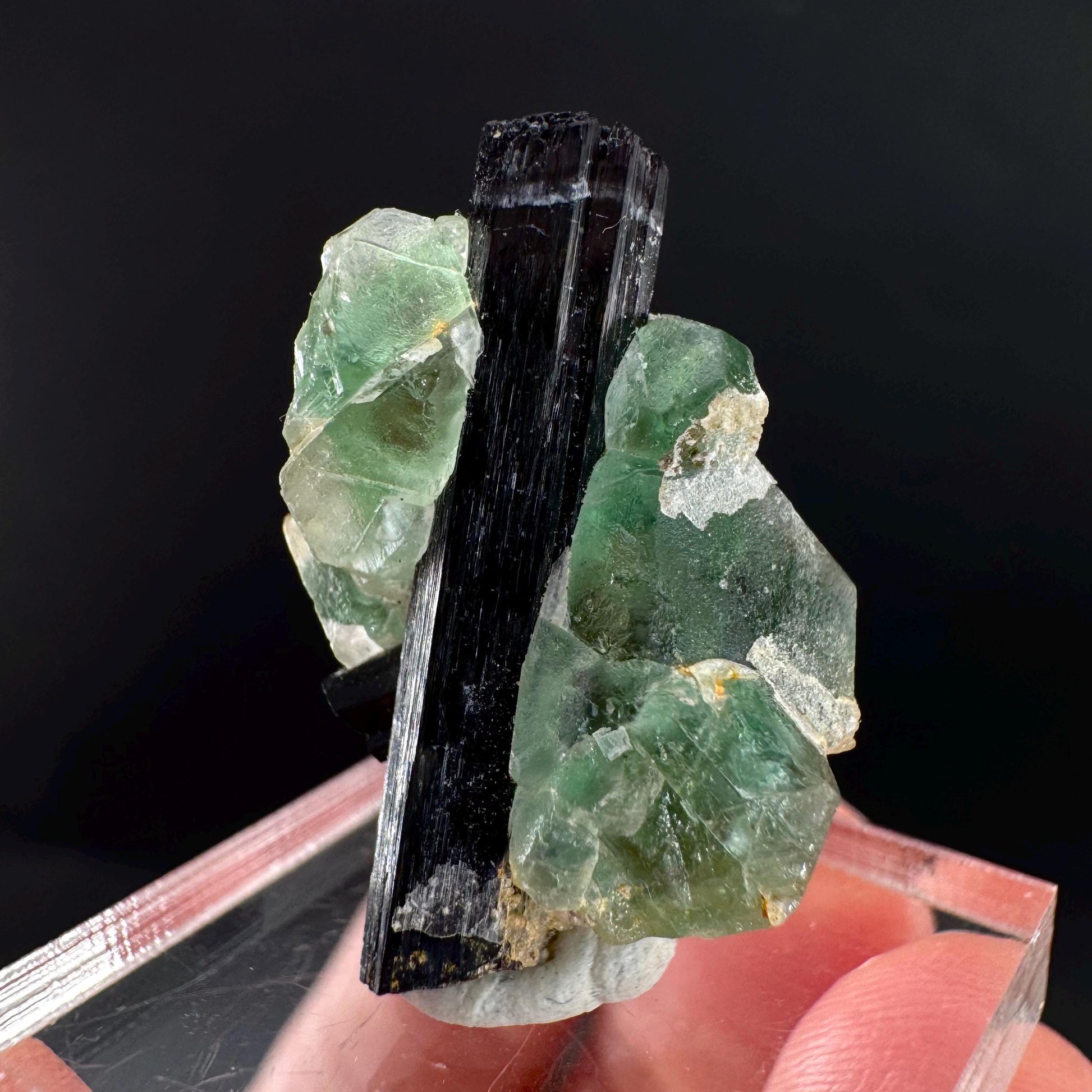Fluorite w/ Black Tourmaline | Lollipop Pocket, green crystal, mineral specimen from Namibia